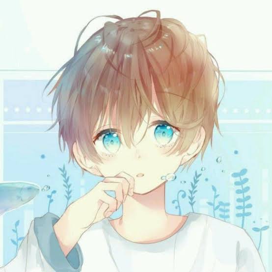 akio